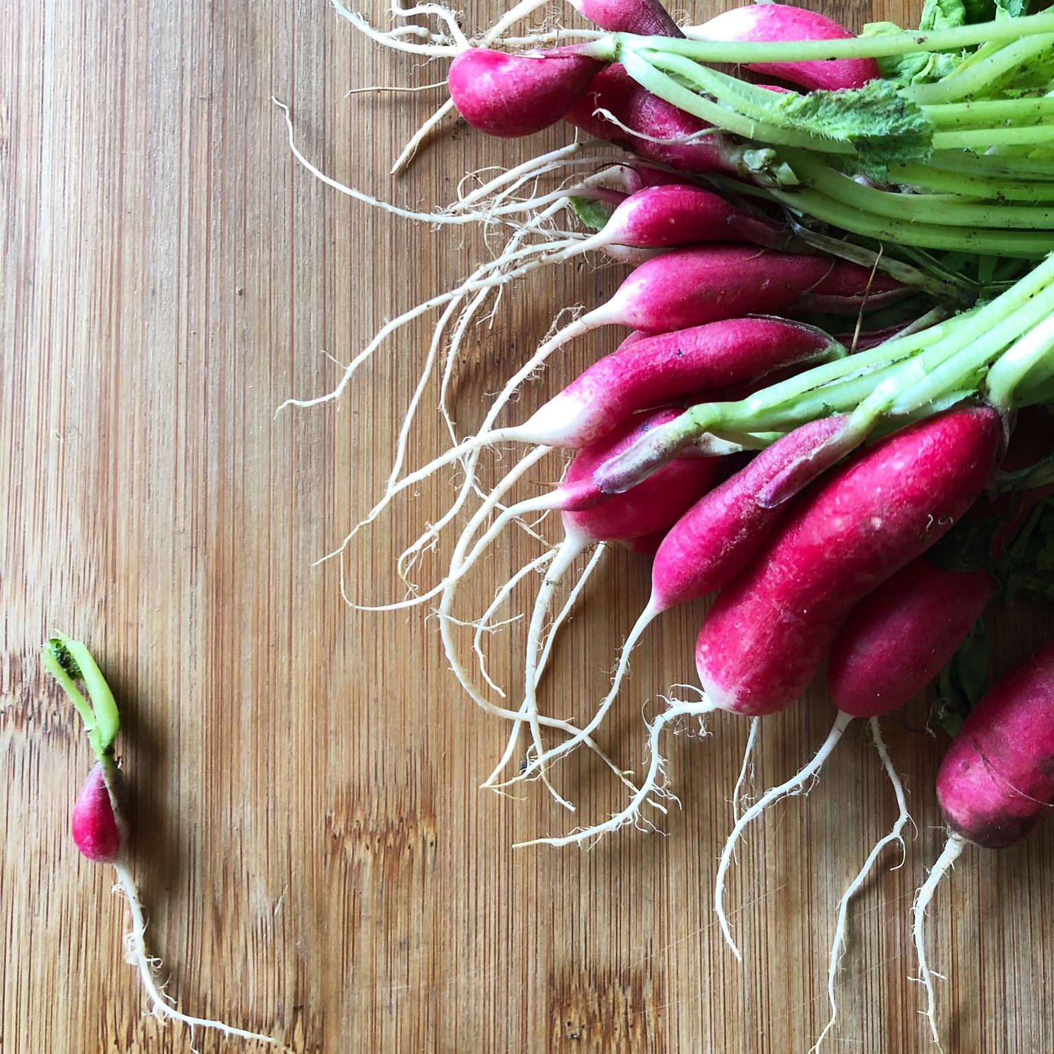 Freshly harvested radishes arranged on a wooden board